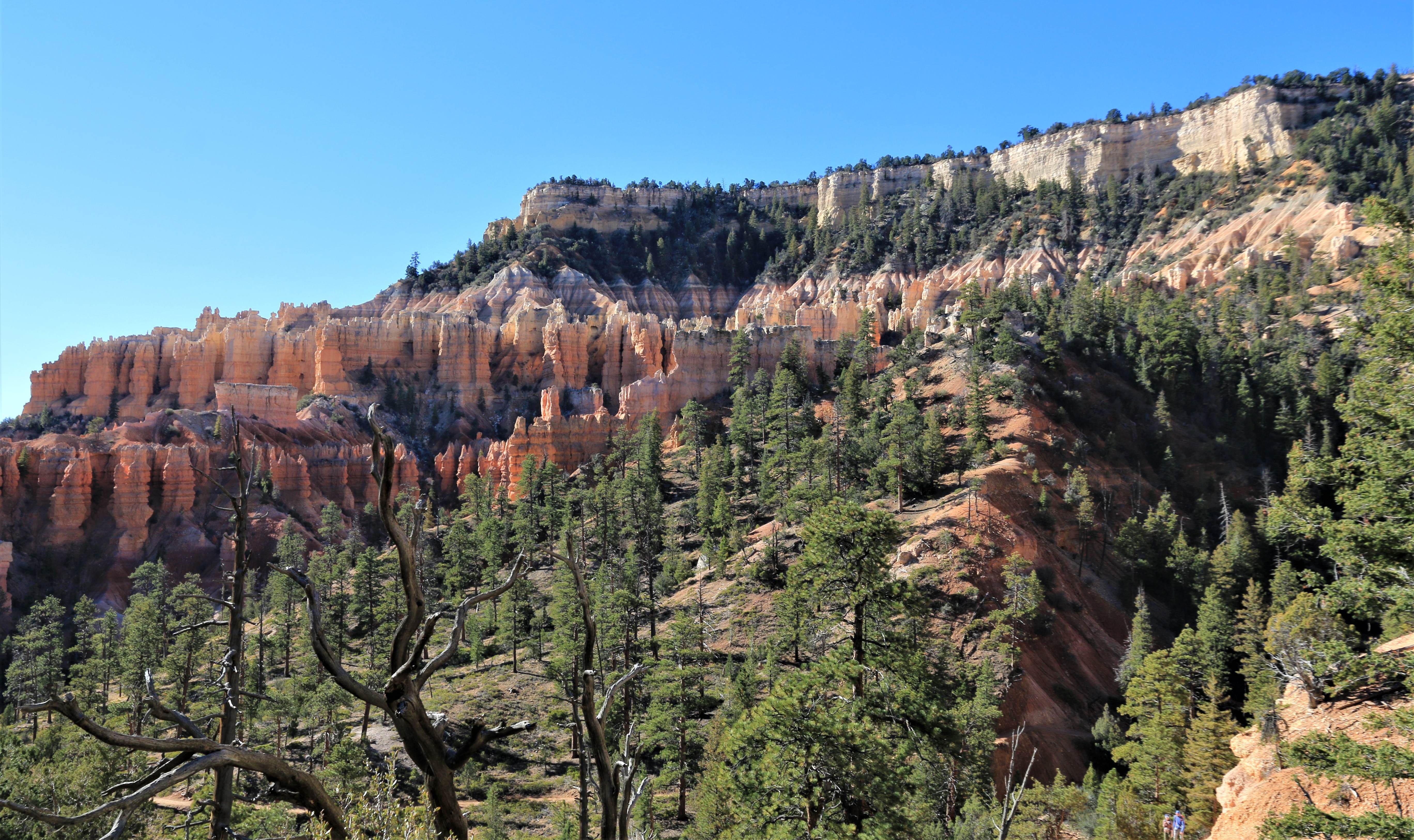 Bryce Canyon NP